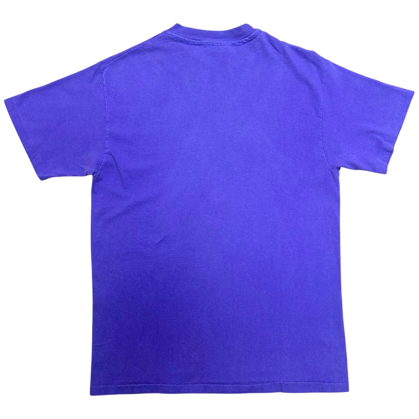 Vintage 1990s Snowbird Purple/Teal Graphic T-Shirt - Size Medium