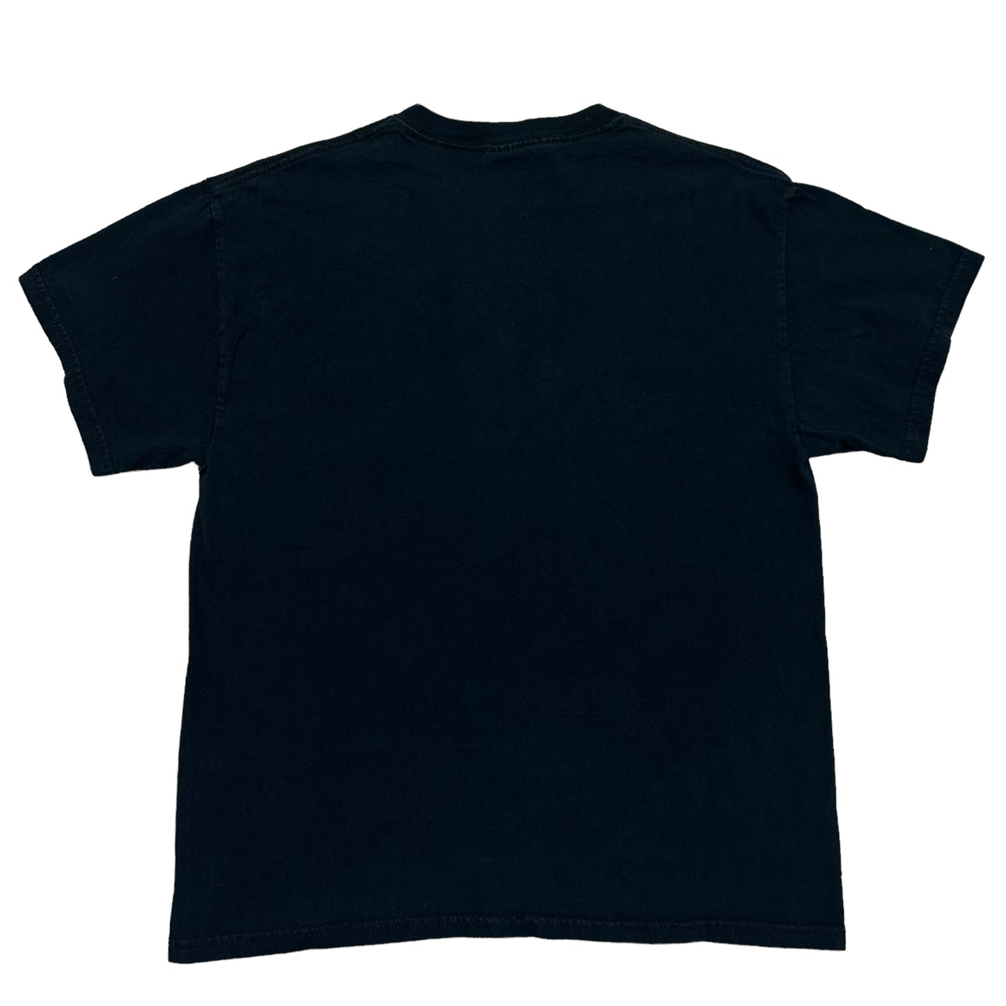 Vintage Y2K D.A.R.E. Lion Black Graphic T-Shirt - Size Large