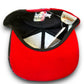 Vintage 1990s Dale Earnhardt x Peter Max Goodwrench Service Plus Black/Rainbow Snapback Hat
